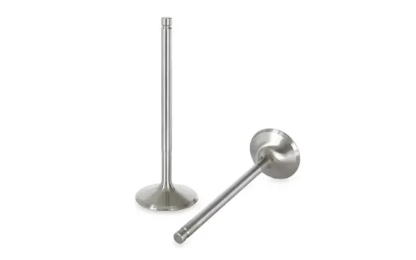 Intake and Exhaust Valve