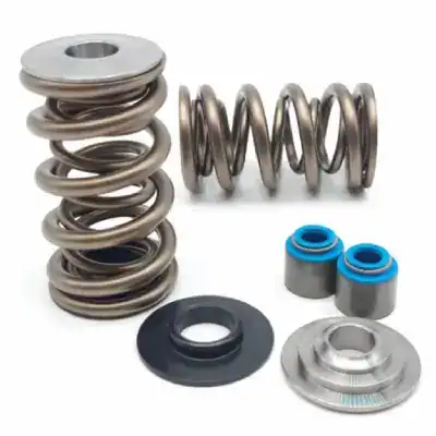 Beehive valve springs